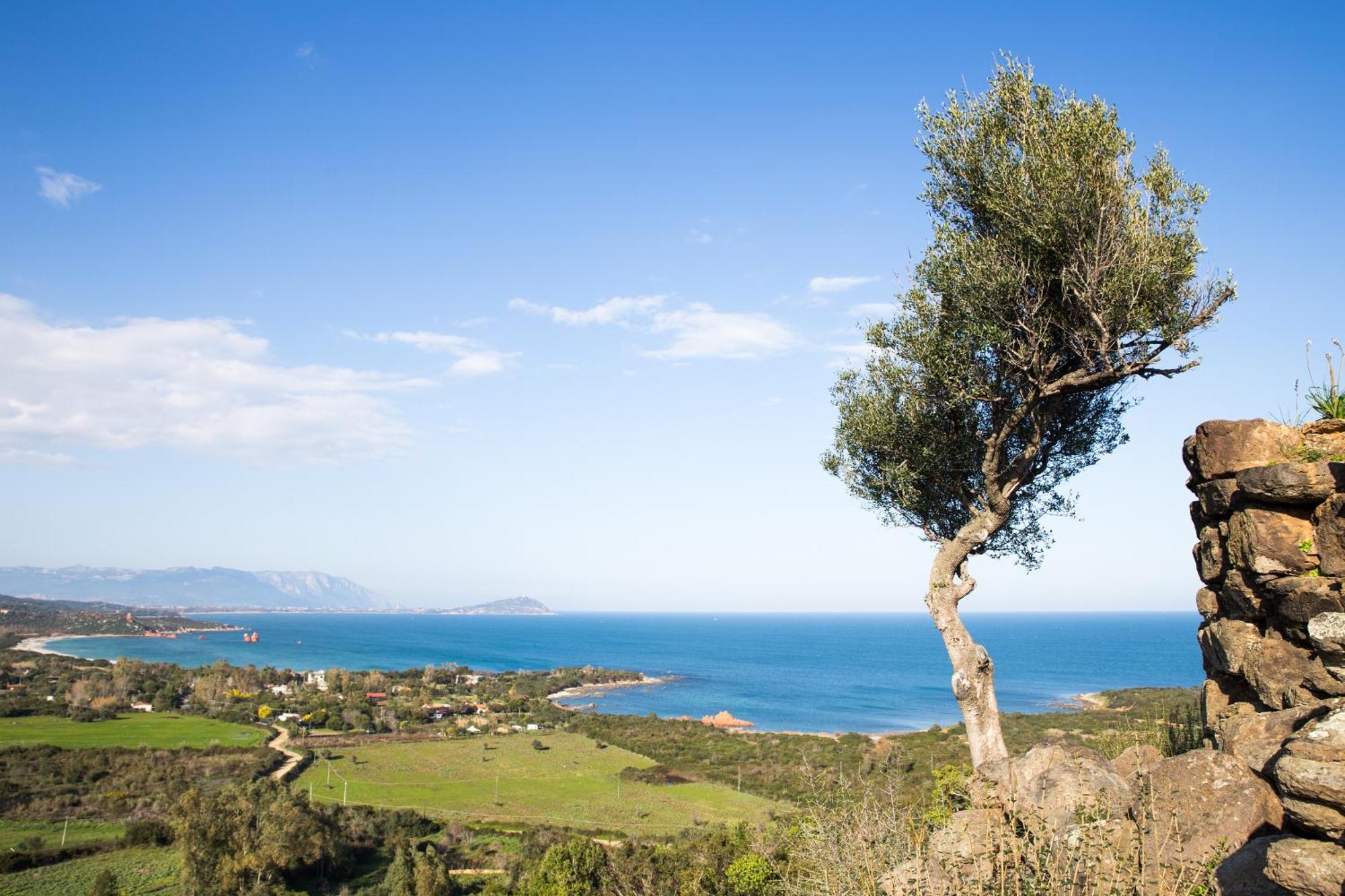 Le Corti Sarde Garden Apartman Bari Sardo Kültér fotó